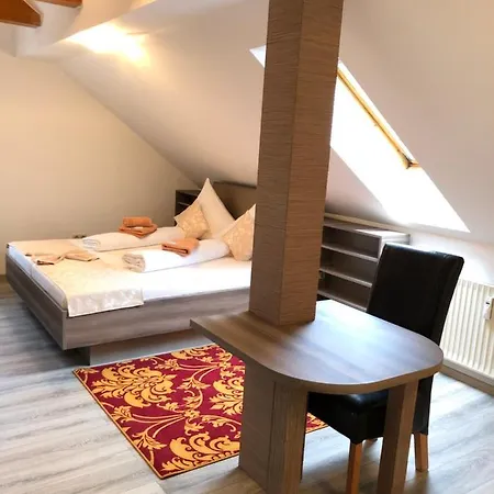 Hotel Goldenes Vogtland 4*