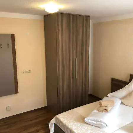 Goldenes Vogtland 酒店 巴特埃尔斯特
