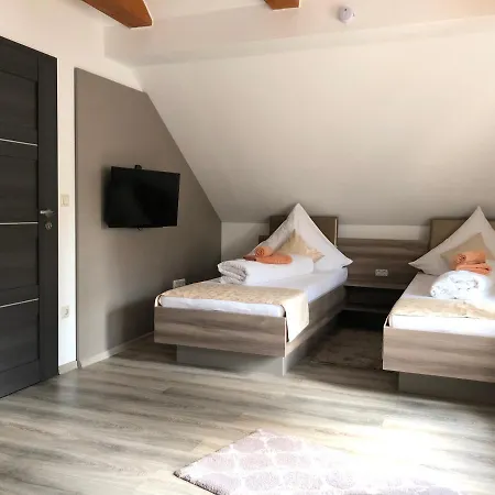 Hotel Goldenes Vogtland 4*