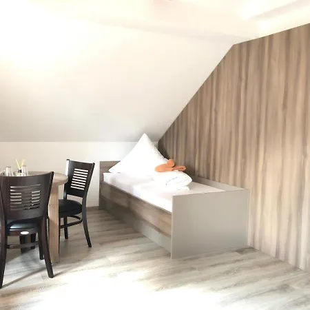 酒店 Goldenes Vogtland 4*