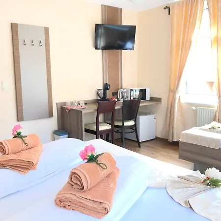 Goldenes Vogtland Hotel 4*