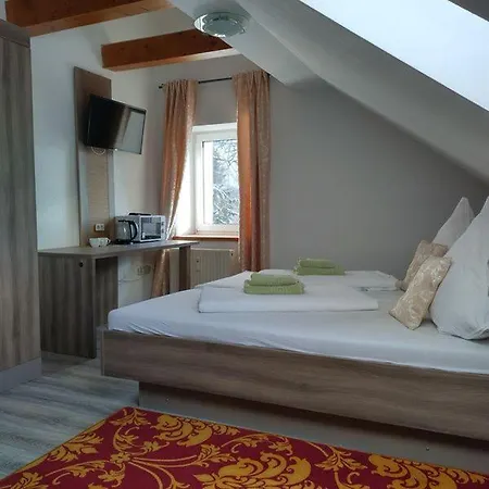 酒店 Goldenes Vogtland 4*