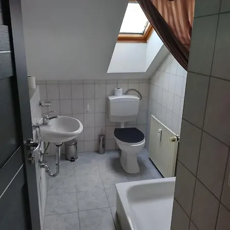 Hotel Goldenes Vogtland 4*