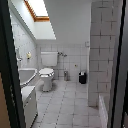 Goldenes Vogtland 酒店 巴特埃尔斯特