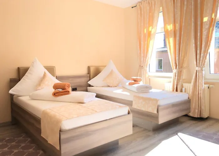 酒店 Goldenes Vogtland 阿多夫