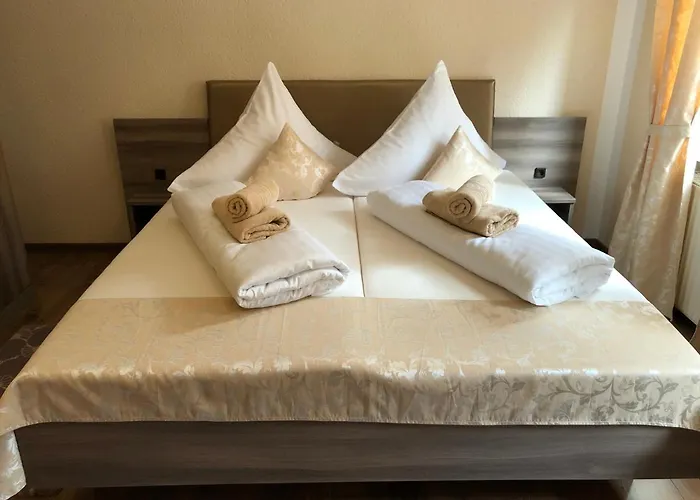 Goldenes Vogtland 4* 阿多夫