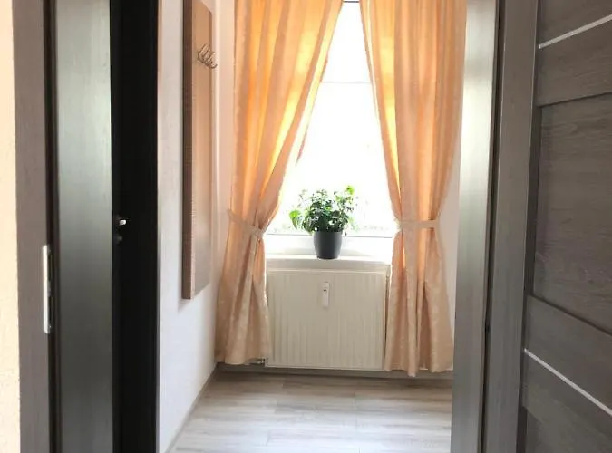 Goldenes Vogtland 酒店 4*