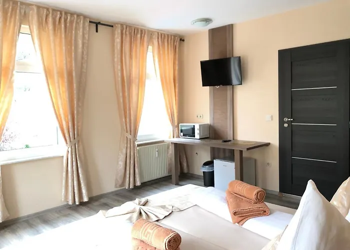 酒店 Goldenes Vogtland