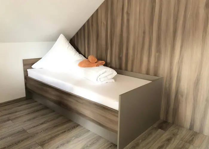 Goldenes Vogtland 4* 阿多夫