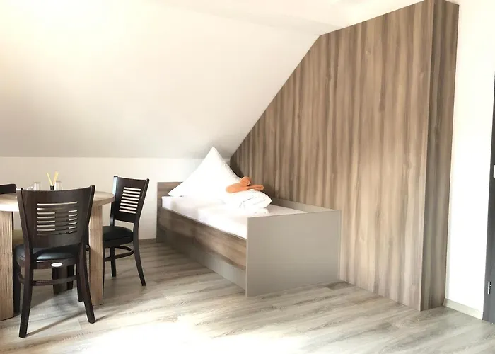 Goldenes Vogtland 酒店 4*