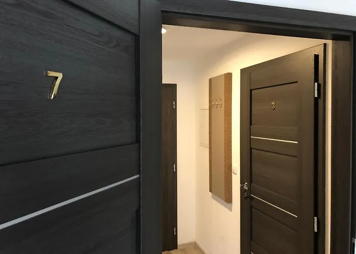 酒店 Goldenes Vogtland 阿多夫