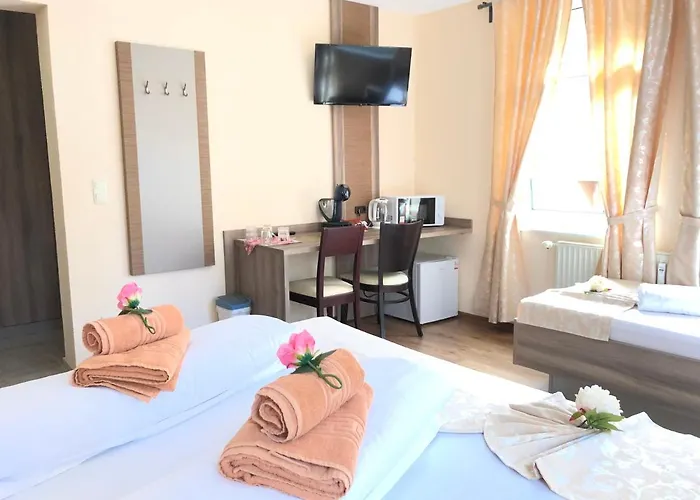 Goldenes Vogtland 酒店 4*