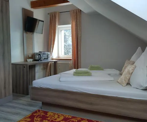 酒店 Goldenes Vogtland 4*