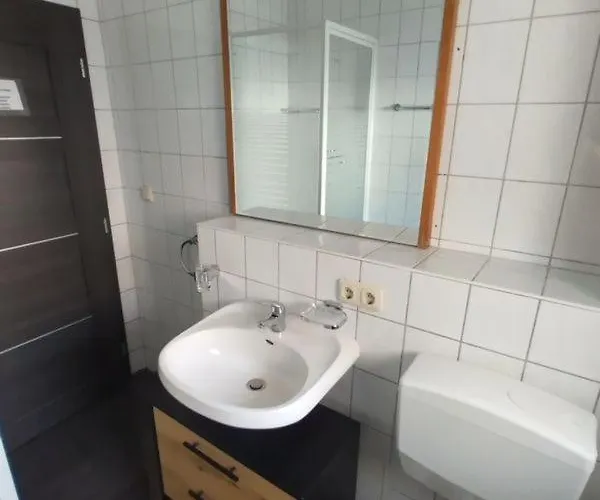 酒店 Goldenes Vogtland 4*