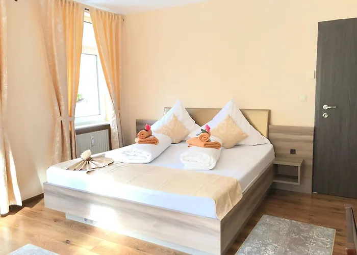 酒店 Goldenes Vogtland 4*