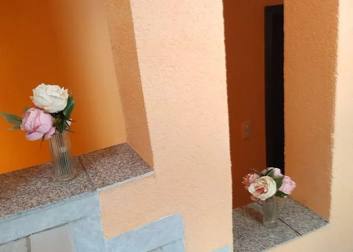 Goldenes Vogtland 4* 阿多夫